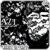 cd-xiatarantallegra